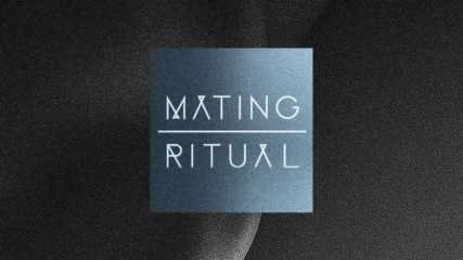 Mating Ritual & Lizzy Land - Song Beneath the Song