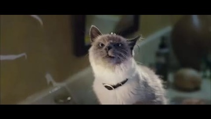 Marmaduke 2010 Movie Trailer Hd
