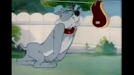 044. Tom & Jerry - Love That Pup (1949)
