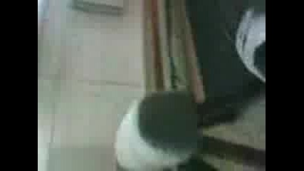 Полет Лястовичка