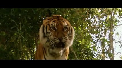Братята тигри - Целият филм Бг Аудио 2004