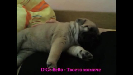 Dge Bebo - Tvoeto momiche