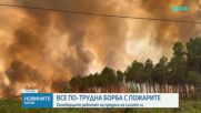 Борбата с пожарите във Франция и Испания става все по-силна
