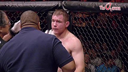 Ufc matt Hughes vs. Thiago Alves