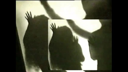Adam - Malena