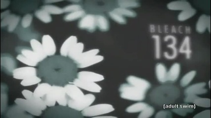 Bleach Episode 134 English Dubbed