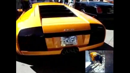 Kuchek 2009+2010 Bugata Lamborghini 2010 Video Clip кючек - 