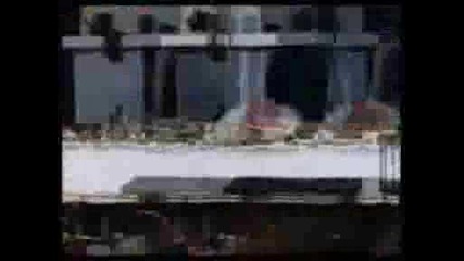 Руска Понтийска Анимация Мухабет