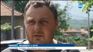 Побеснял питбул отхапа лицето на мъж в Брацигово