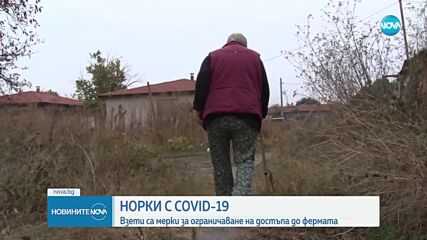 Хора, живеещи до фермата за норки, заразени с COVID-19: Постоянно бягат до близките села