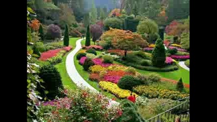 - Julio Iglesias Y Crazy En Un Hermoso Y B