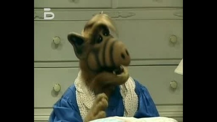 Alf.s04e17.bg Audio