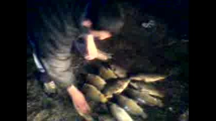 Mov00018.3gp