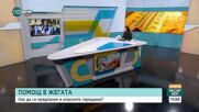 Помощ в горещините: От Червеният кръст раздават безплатно бутилирана вода