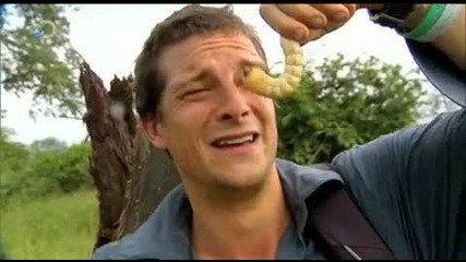 Man vs. Wild - Bears Ultimate Survival Guide Part Two - Bears Gourmet Menu 