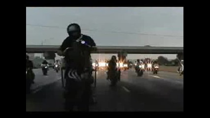 Best Stunt Video