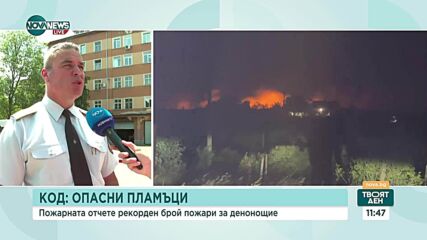 Лятото и пожарите: Горските стопанства започват проверки на туристите в гори и планини