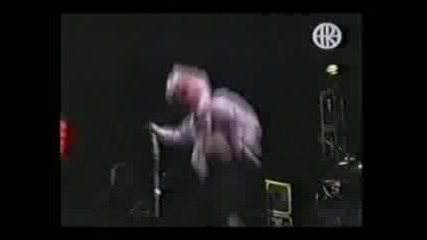 Red Hot Chili Peppers - Suck My Kiss (1999)