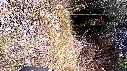 Vid_20230912_141140.3gp