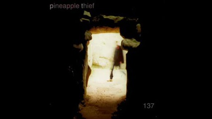 The Pineapple Thief - 137