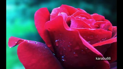 Vansh 's song