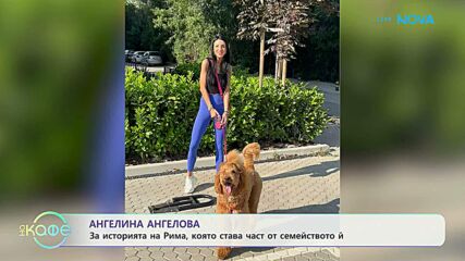 Ангелина Ангелова: Ще има ли проължение на историята на Рима? | На кафе | 20 февруари 2026
