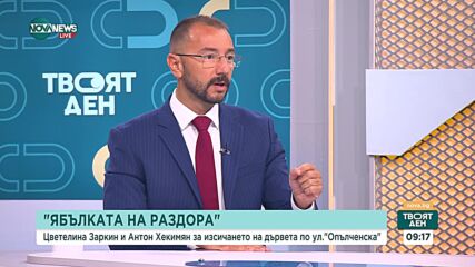 Можеше ли Столична община да спаси дърветата по ул. "Опълченска": Хекимян и Заркина в спор