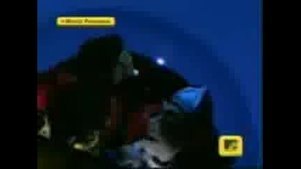 Eminem - Ass Like That