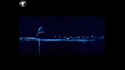 Nana - Dreams (official Video) 