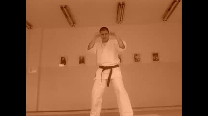 Bersek kicks 