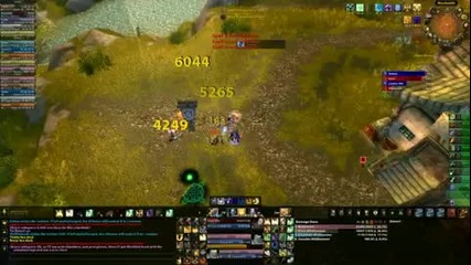 Protection Paladin Pvp Full Wrathful - Butternuts 