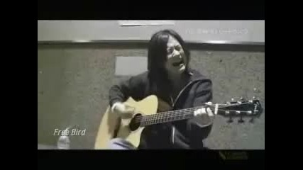 Yui - Free Bird