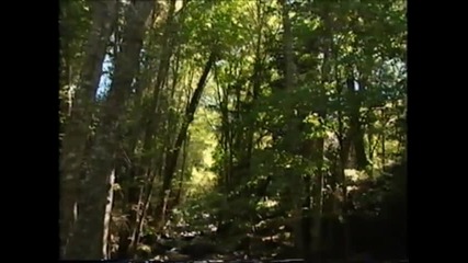 Rainbow Spirit Oregon - When I consider the Wonders of Creat