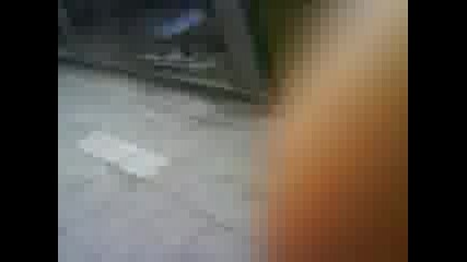Pecata Lud 2