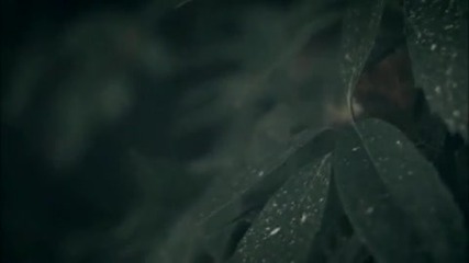 Yuksek - Tonight