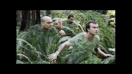 Sunny Day Real Estate - 9 