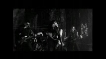 Mothernight - Shadowsblack (fragment)