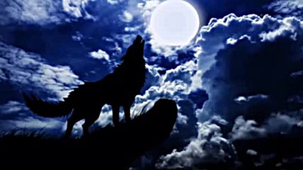 Celtic Music - Night of the wolf