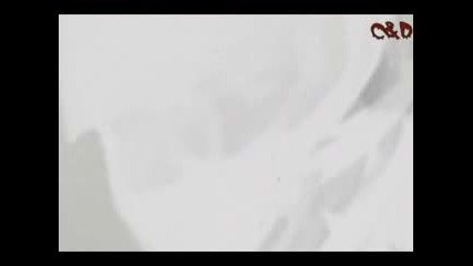 Който може го може