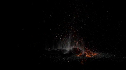 Draft Test - Disintegration Effect