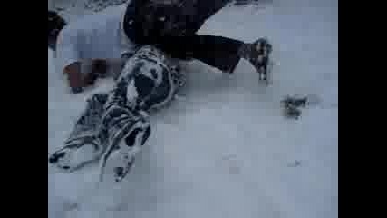 Funn