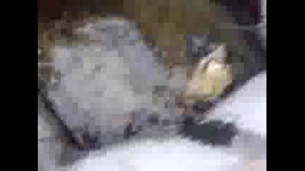 Mov01171