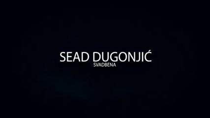 Sead Dugonjic - Svadbena 2012