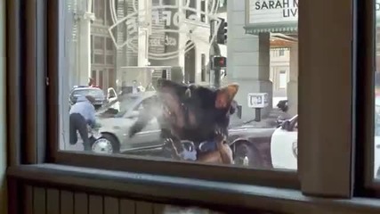 Страхотна реклама на Audi и доберхуахуа