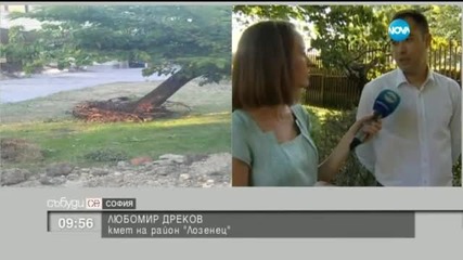 Къде са вишните?