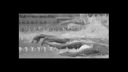 michael phelps, , ;~ 