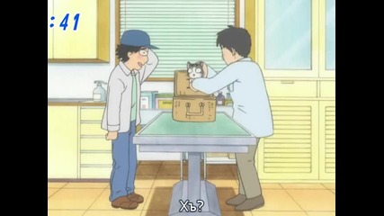 chi's sweet home 023 (bg)