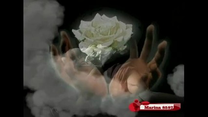 Jerry Nei - Biala Roza