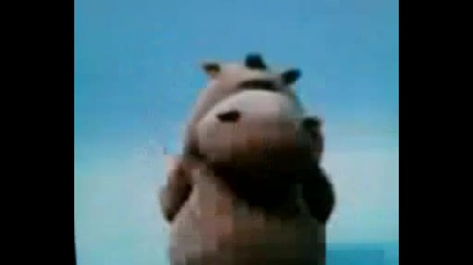 Hipopotama parodiq 