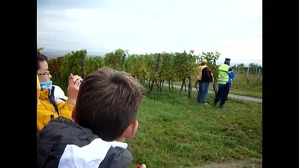 Rallye Wrc Alsace 